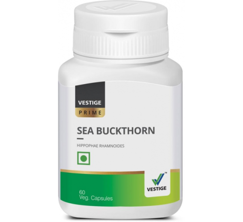 Sea Buckthorn