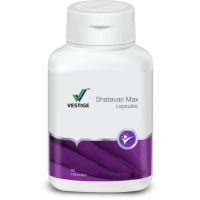 Shatavari Max Capsules